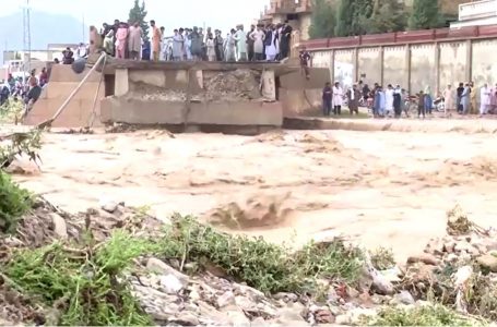 982 viktima nga përmbytjet, Pakistani shpall gjendjen e emergjencës