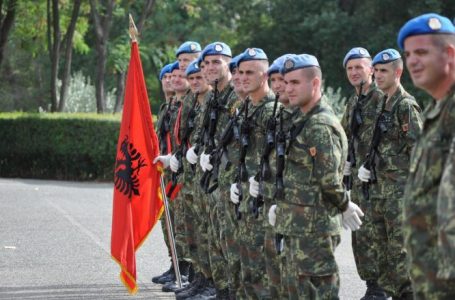 NATO në Kosovë me forca të reja nga Shqipëria, Mehaj: Emocionale prania e vëllezërve e motrave në shërbim të sigurisë sonë