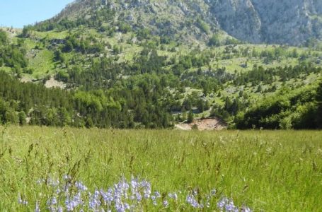 Munella, destinacion i të pasionuarve pas turizmit malor