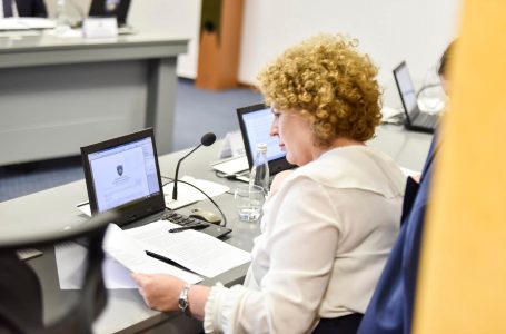 Ministrja Hajdari raporton para deputetëve për nivelin e zbatimit të Ligjit për tregti me jashtë