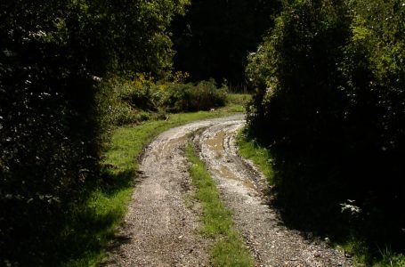 Rruga me baltë vështirëson qarkullimin për familjen e Fran Kerhanit