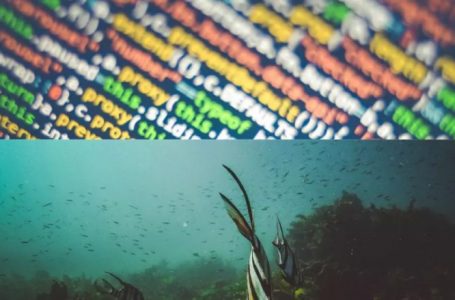 A mund ta bëjnë internetin më të shpejtë qendrat e të dhënave nënujore?