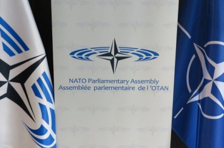 Sot nis punimet Seminari i Rose-Roth i Asamblesë Parlamentare të NATO-s