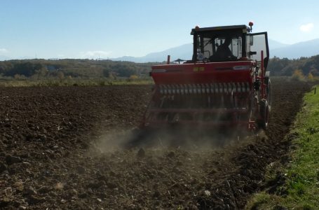 Në komunën e Gjakovës planifikohen të mbillen 3000 hektarë tokë me grurë