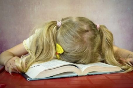 Gjobë prej 10 frangash për nxënësit që nuk i kryejnë detyrat e shtëpisë në Zvicër