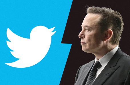 Musk largon qindra punonjës, Twitter humb 4 milionë dollarë në ditë