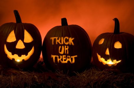 Historia e vërtetë e kungujve të Halloween, pse janë simboli i festës së famshme