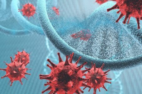 Virusi i modifikuar i herpesit, “kura” që “zhduk” kancerin në fazë terminale