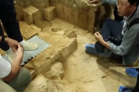 Arkeologët gërmojnë kafkën 1 milion vjeçare të njeriut