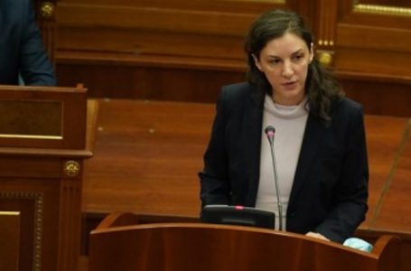 Rizvanolli për bastisjen dhe arrestimin në KEK: Si ministri nuk kemi pasur asnjë informacion zyrtar
