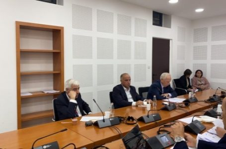 ​Ish ministri Çeku raporton në lidhje me sektorin e energjisë për periudhën 2006-2022