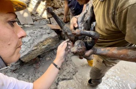 Arkeologët italianë zbulojnë 24 statuja bronzi të ruajtura për 2300 vjet