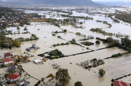 1400 hektarë sipërfaqe e përmbytur në Shkodër