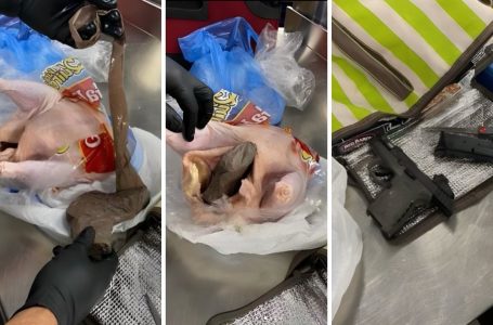 E pazakontë në aeroport, pasagjerit i gjejnë armë brenda një pule
