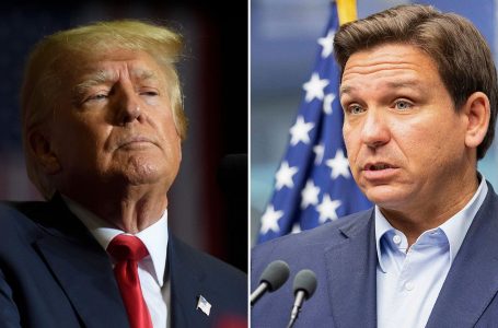 DeSantis konfirmohet në Florida: Kush është rivali republikan i Trump-it?