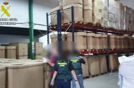 Vlente 64 milionë euro, kapet sasia më e madhe e kanabisit në Spanjë