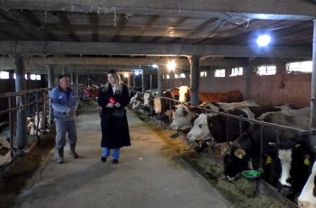 Hamdi Sylmetaj, ndër fermeret e sukseshëm të Komunës së Gjakovës, flet për rëndësinë e punës që bën