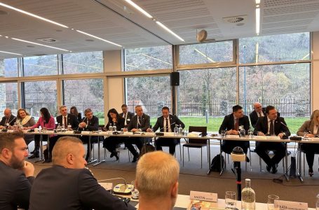 Mehaj në Vjenë: Kosova angazhohet maksimalisht për paqen dhe stabilitetin rajonal e global
