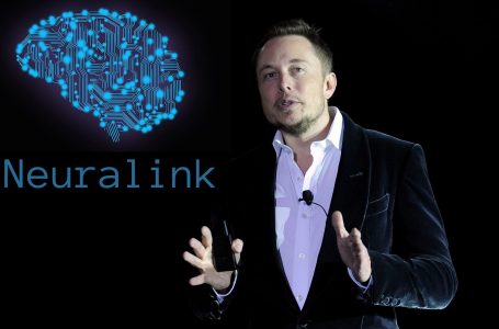 Kompania e Elon Musk, Neuralink është në hetime për shkak të mënyrës së testimit të kafshëve