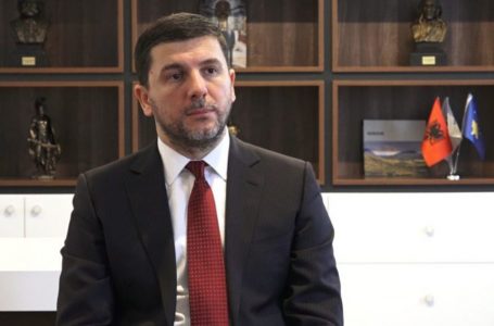 Krasniqi: Mërgata mbështetja më e madhe për Kosovën