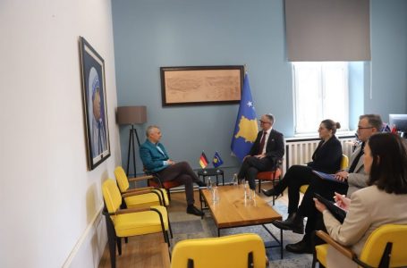 Vitia takohet me ambasadorin gjerman, flasin për përmirësimin e shërbimeve shëndetësore