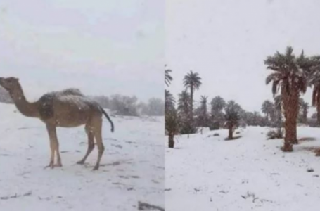 Për herë të parë pas 11 vitesh, bora mbulon Saharanë pranë kufirit me Marokun