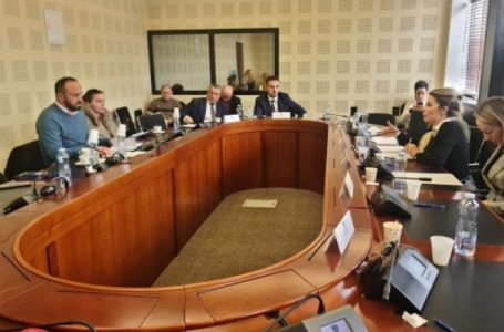 Konventa për të Drejtat e Personave me Aftësi të Kufizuara kërkohet të jetë pjesë e Kushtetutës