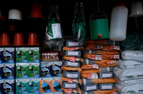 Mendime të ndryshme për çmimet e produkteve bujqësore