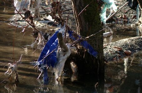 Qytetarët të indinjuar me mbeturinat në afërsi të digës në Shkugës