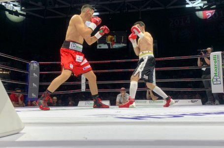 Robin Haxhi Krasniqi mposht numrin një të Belgjikës