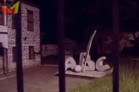 21 shkurti, Dita Ndërkombëtare e Gjuhës Amtare