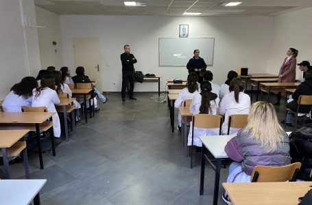 Lojërat e rrezikshme në Tik-Tok, policia me ligjërata për nxënësit se si të parandalohen ato