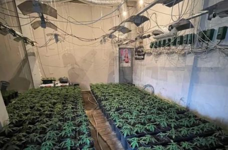 Zbulimi i tre laboratorëve të drogës në veri të Mitrovicës, kërkohet paraburgim për serbët e dyshuar