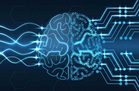 Google bënë thirrje për kujdes ndaj chatbot-ëve “halucinant”