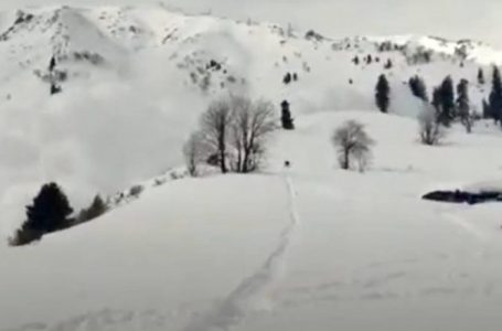 Orteku në Himalaje, humbin jetën dy skiatorë