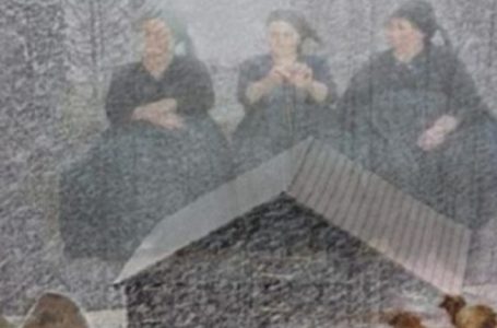 A e dini historinë “Po shkunden plakat”?