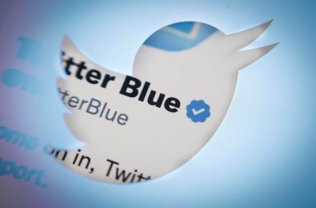 Rreth 180 mijë njerëz në SHBA dhe 110 mijë të tjerë në mbarë botën të abonuar në Twitter Blue