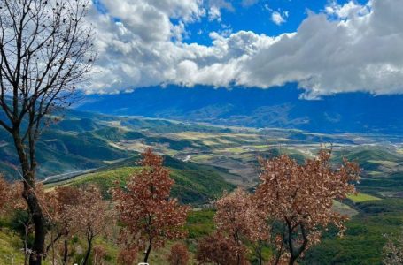 Bredhi i Hotovës në Përmet, oaz me peizazhe të mrekullueshme