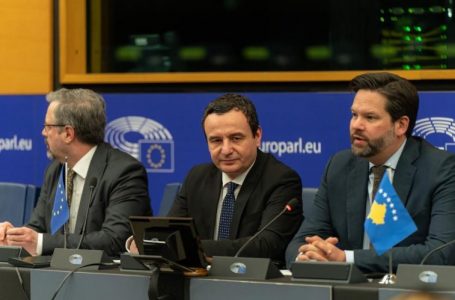 Kurti takon eurodeputetë nga EPP, flasin për takimin e 18 marsit dhe aplikimin e Kosovës në BE