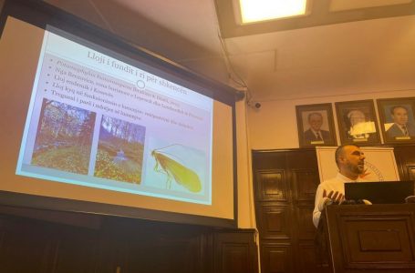 Profesori i Biologjisë prezanton llojin e ri të insektit nga Bjeshkët e Sharrit: Kosova është vatër e biodiversitetit