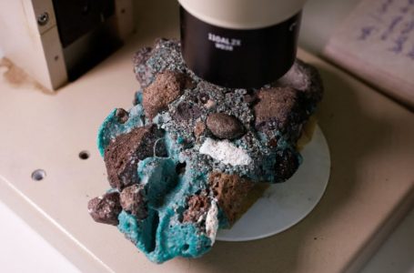 Studiuesit brazilianë gjejnë shkëmbinj të krijuar nga plastika në një ishull të largët