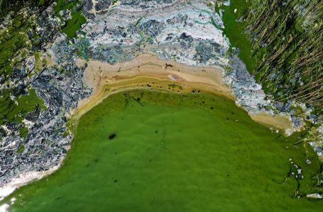 Toka kërcënohet nga fosfogedoni – nëse nuk e dini çfarë është mësoni tani