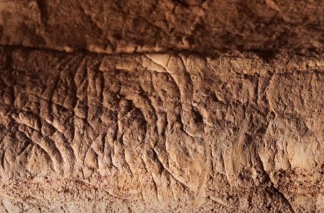 Më shumë se 100 vizatime prehistorike të gjetura në një shpellë në Spanjë