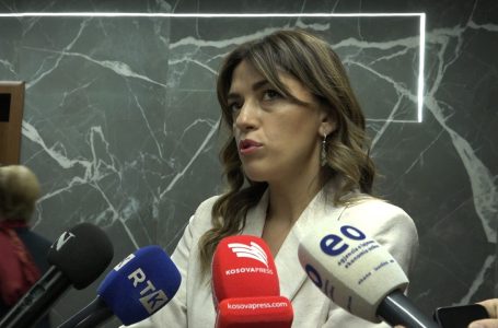 Haxhiu: Kodi Civil duhet të votohet, po koordinohemi me deputetët e VV-së