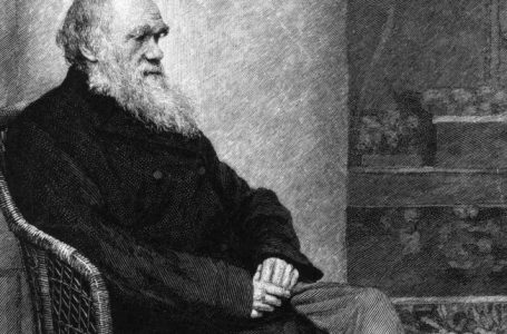 141 vite më parë vdiç Charles Darwin-i, babai i Teorisë së Evolucionit