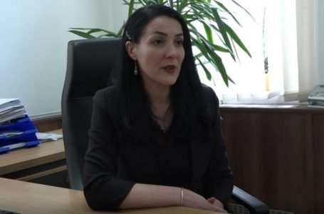 Sogojeva-Dërmaku: Pranuam 600 ankesa për shkelje të privatësisë dhe qasje në dokumente publike