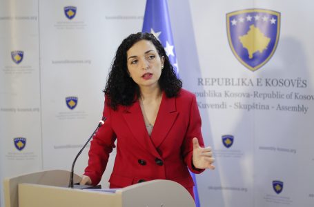Osmani kujton gjenocidin e Srebrenicës: 8,372 nëna që edhe sot kërkojnë drejtësi për bijtë e tyre