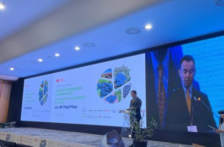 Peci: Eksporti i pemëve malore arriti në 8.3 milionë euro në vitin 2022, 16% ishin boronica