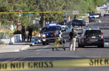 Të shtëna me armë në një ekspozitë makinash, humbin jetën 10 persona dhe plagosen 9 të tjerë