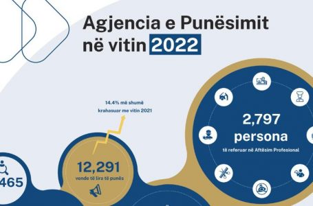 6,472 veta u punësuan përmes Agjencisë së Punësimit në vitin 2022